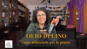 Scopri di più sull'articolo OLIO DI LINO INSETTICIDA NATURALE